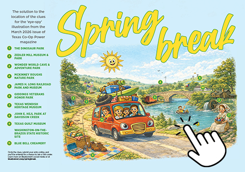 Spring break solution