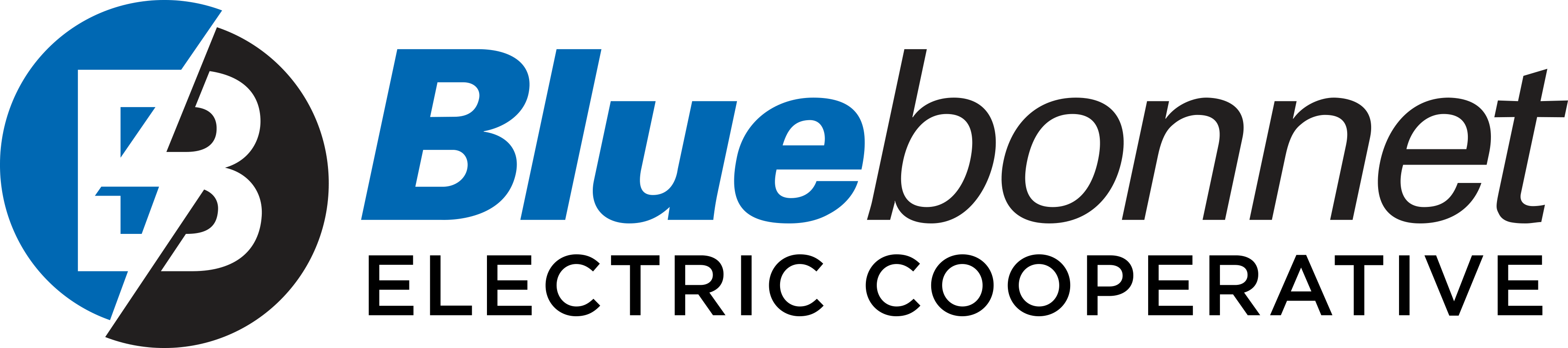 Bluebonnet logo