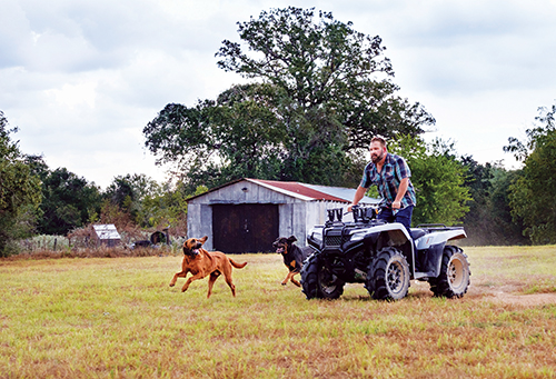 Firefly Ranch