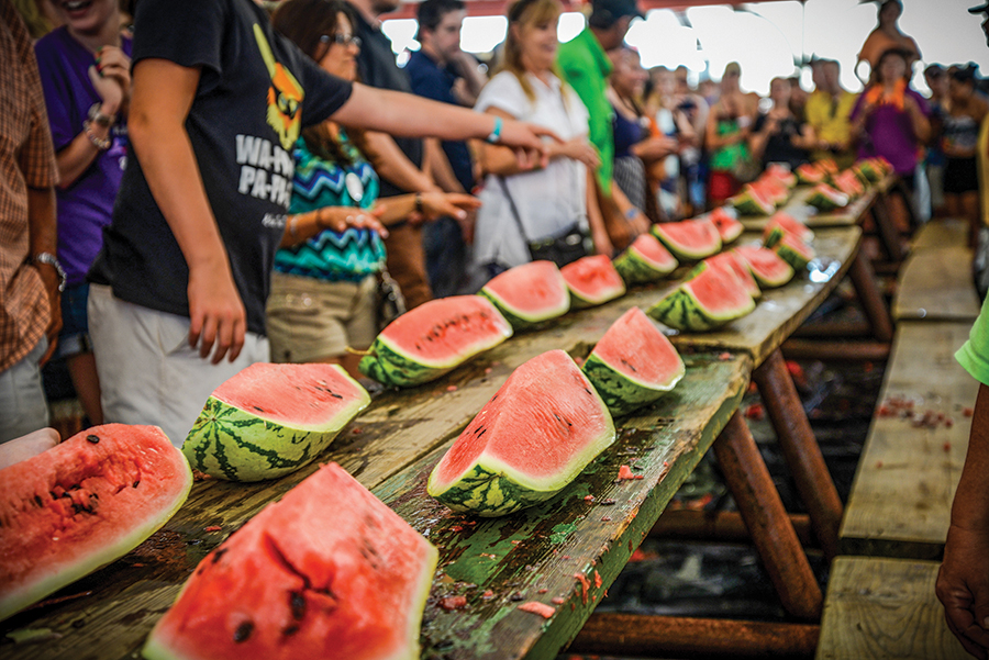 Watermelon Thump