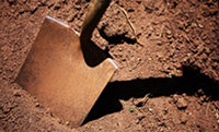 Before you dig