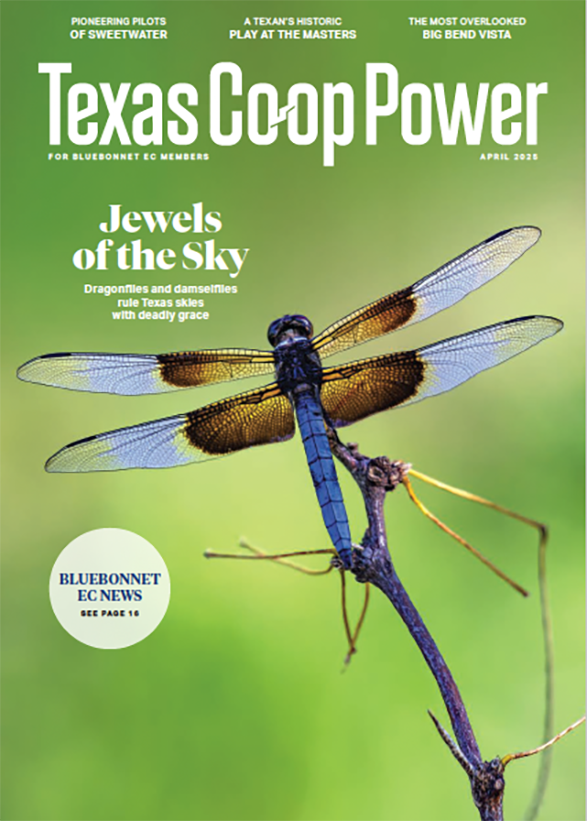 TCP april 2025 edition