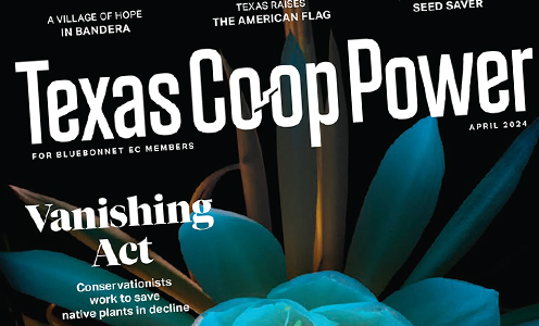 Read Bluebonnet's pages in Texas Co-op Power magazine