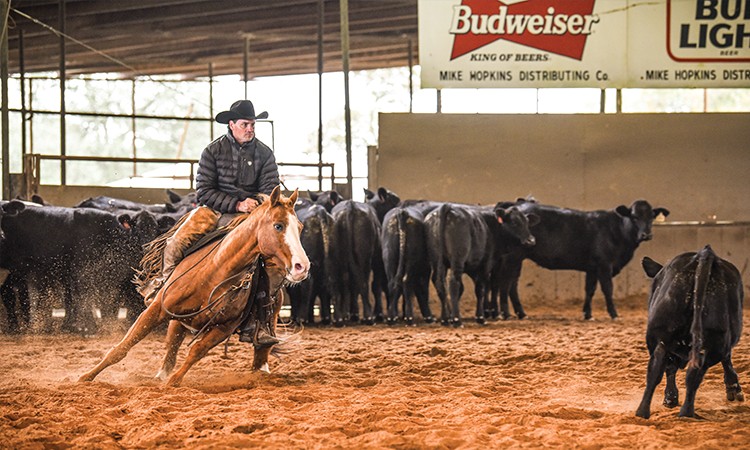 What does it take to make a world champion ‘cutter’? Experience, dedication and a well-trained horse with cow sense.