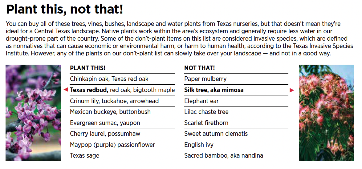 plant this not that