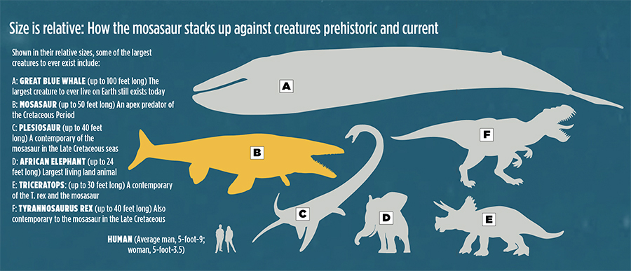 Meet the Onion Creek Mosasaur | Bluebonnet Electric Cooperative