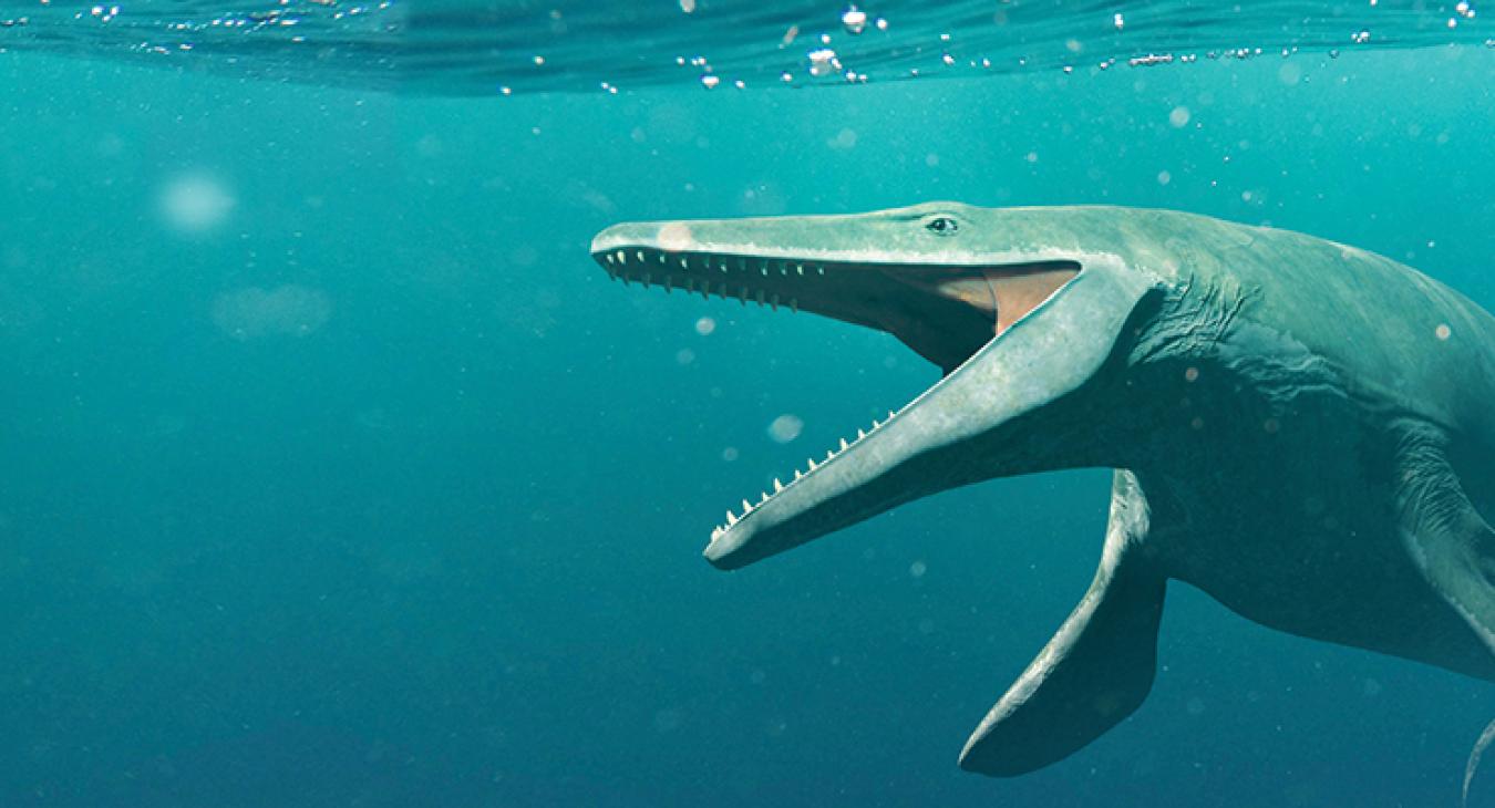 Mosasaur