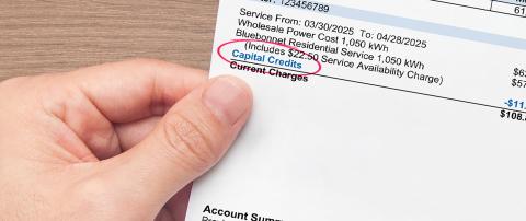 Capital credits