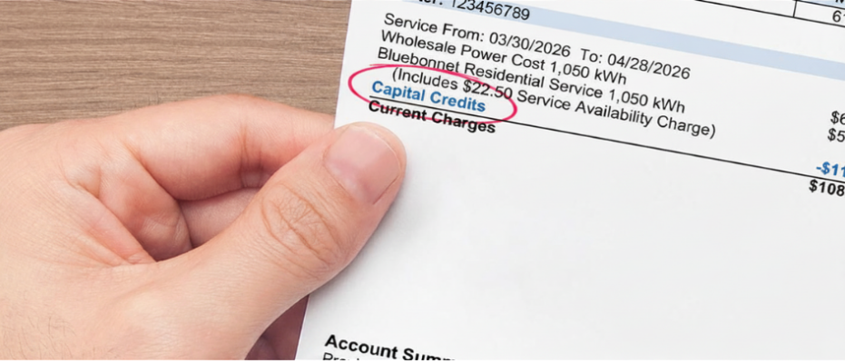 capital credit on member bill